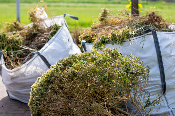 Best Appliance Removal Near Me  in Sauk Rapids, MN